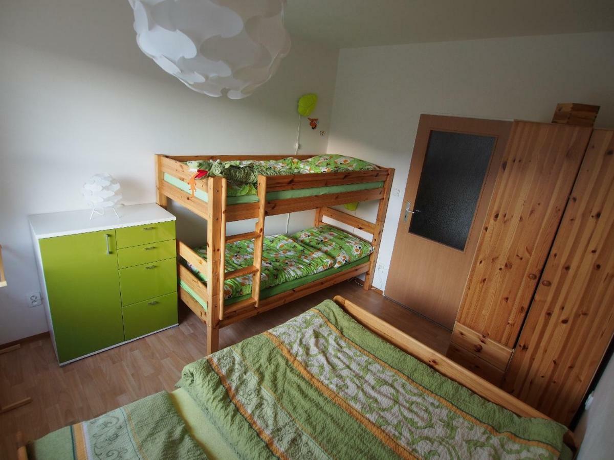 Apartman V Destnem Appartement Destne v Orlickych horach Buitenkant foto