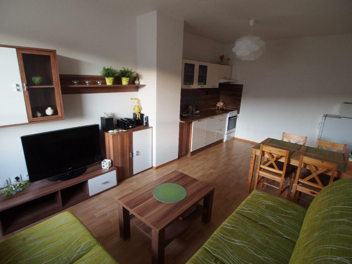 Apartman V Destnem Appartement Destne v Orlickych horach Buitenkant foto