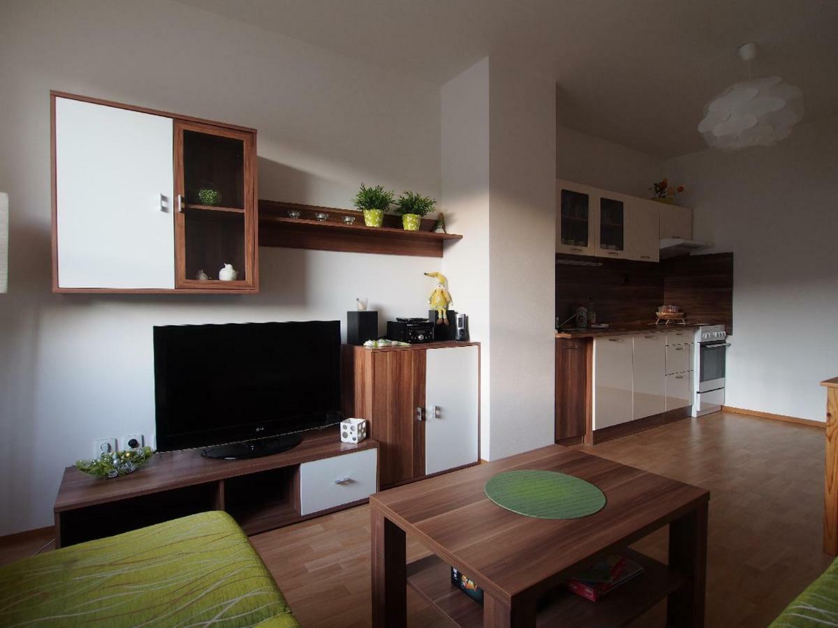 Apartman V Destnem Appartement Destne v Orlickych horach Buitenkant foto