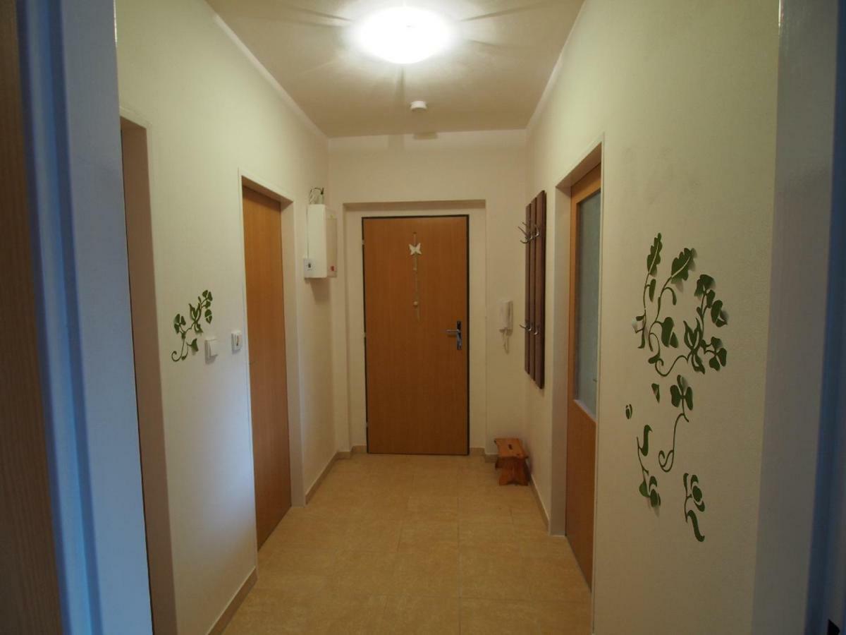 Apartman V Destnem Appartement Destne v Orlickych horach Buitenkant foto